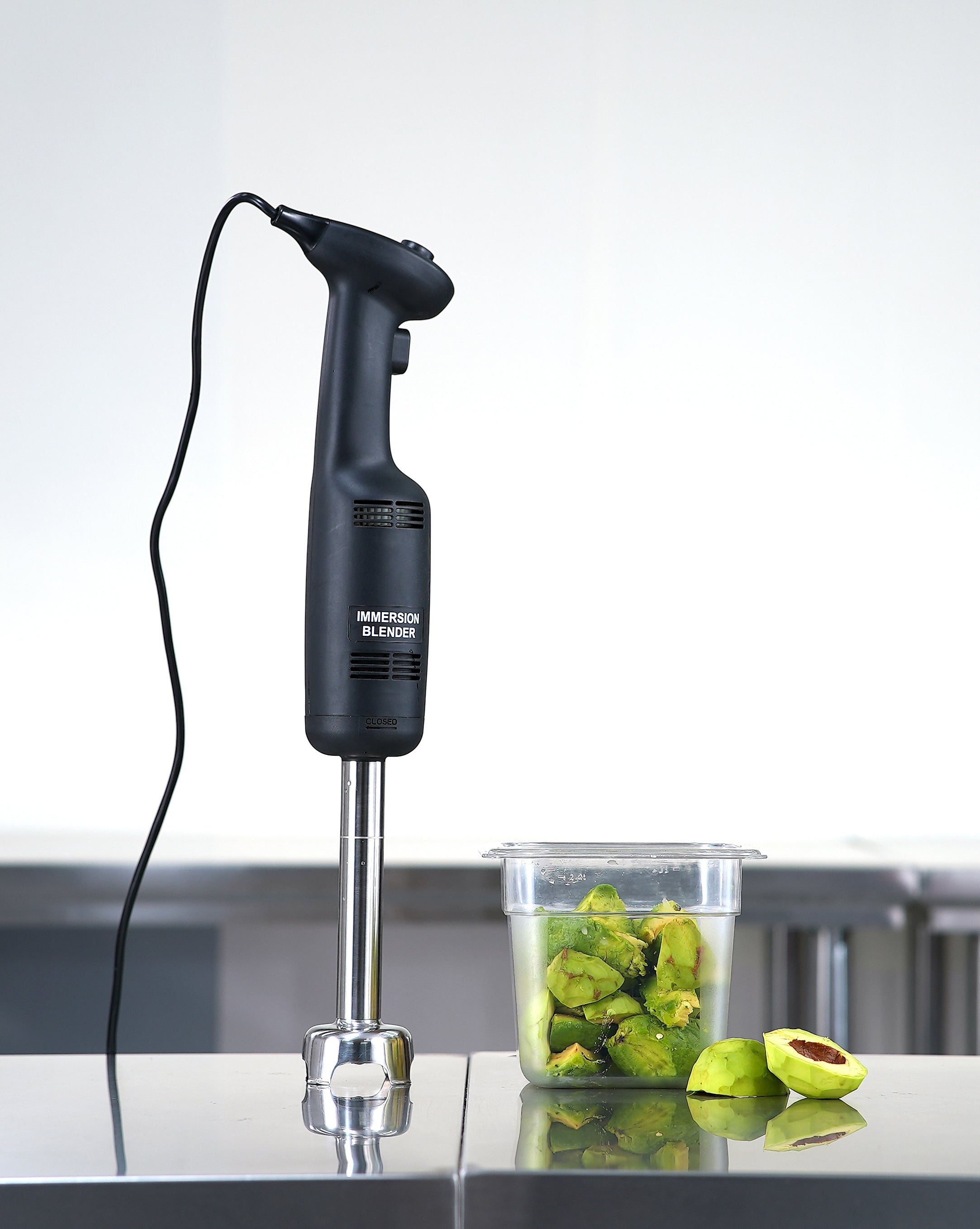 Immersion Blender IB350CV-A